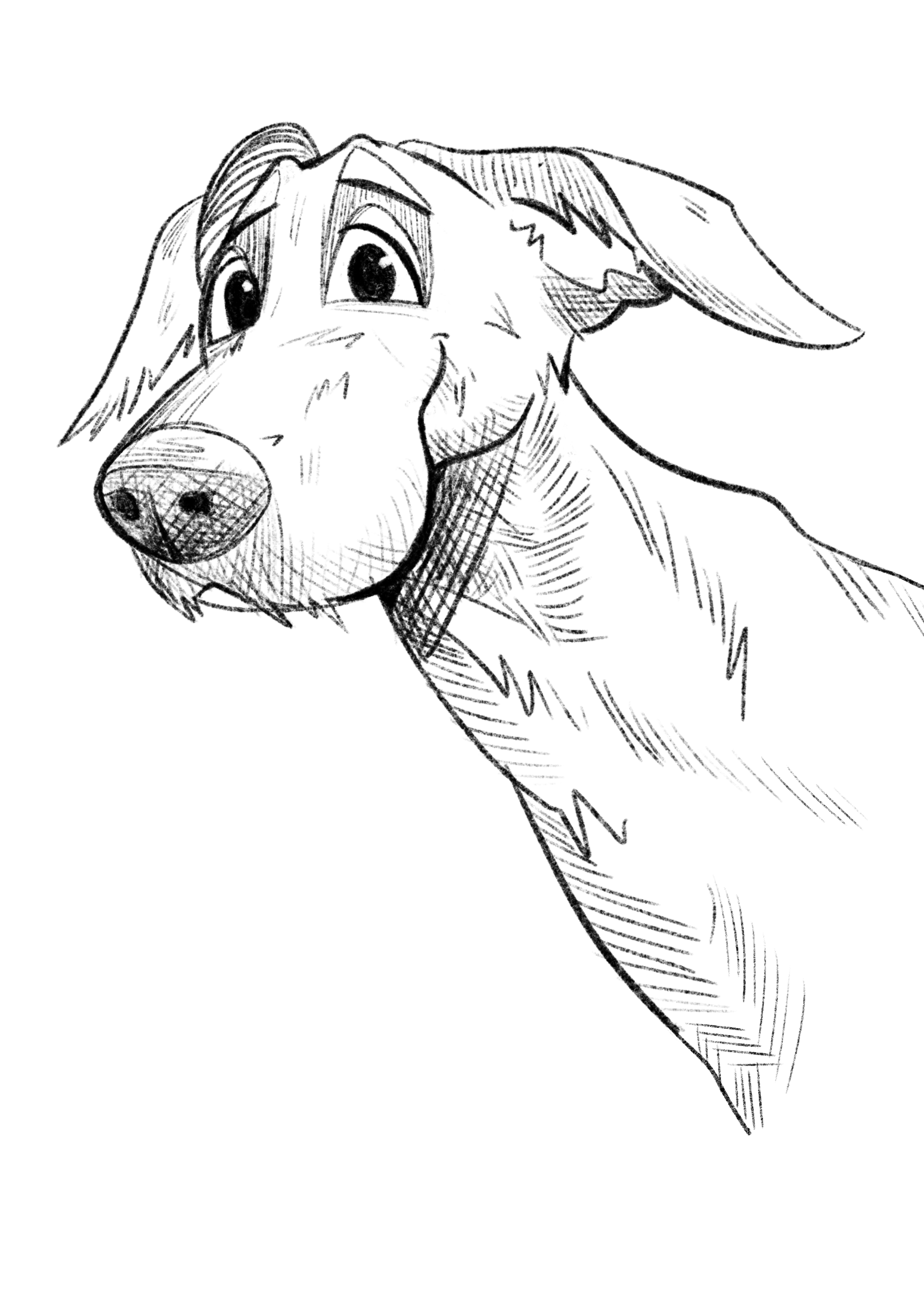 Hundeschule, Gassiservice in Leipzig mit Nici Czora von Tieflandhunde; Illustration von Sophie Parschat